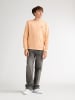 Petrol Industries Bedrucktes Crewneck-Sweatshirt Ocotillo in Orange