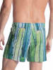 Calida Boxer Shorts in Kaktus