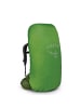 Osprey Aether 55 S/M - Trekkingrucksack 78 cm (acorn red, S/M) in garlic mustard green