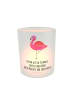 Mr. & Mrs. Panda Deko Windlicht Flamingo Classic mit Spruch in Transparent