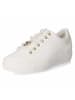 Paul Green Low Sneaker in weiß