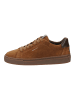 GANT Footwear Sneaker in Chestnut