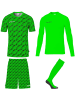 uhlsport  Trainingsanzug "Progressive Torwart Set" in Grün