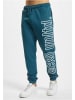 Ecko Unltd. Trousers - Sweat in petrol