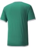 Puma Sportshirt "TeamLIGA Jersey" in Grün