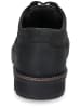 Camel Active Halbschuhe Schwarz