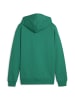 Puma Sweatshirt teamGOAL Casuals Hoody Jr in grün