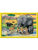 Ravensburger Malprodukte Tiere in Afrika Malen nach Zahlen Kinder 11-99 Jahre in bunt