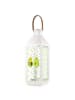 Mr. & Mrs. Panda Laterne modern Avocado Pärchen ohne Spruch in Transparent