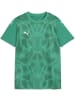 Puma Sportshirt "TeamUltimate Jersey Jr" in Grün