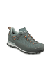 MEINDL Outdoorschuh Literock Free GTX in loden