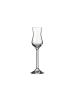 LEONARDO 12er Set Grappaglas Daily 100 ml transparent in transparent