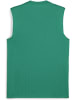 Puma Sportshirt "TeamGoal Sleeveless Jersey" in Grün