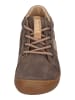 KOEL Sneaker Low BLAKE SUEDE in braun