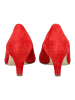 Gabor Pumps in Rot