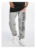 Ecko Unltd. Trousers - Sweat in grey