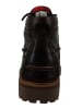 Sperry Stiefeletten Authentic Original braun