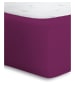 Bassetti Spannbettlaken BOXSPRING in beere