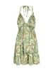 aleida Women Dress in Green Multicolor