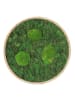 MeinVIPShop Moos Moosbild Wood rund 40cm "handmade"