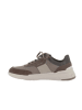 Geox Sneakers U in Dove Grey/Dk Brown