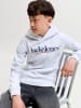 JACK & JONES Junior Kapuzensweatshirt Hoodie Jjtom in white melange