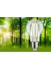 paulmann LED Eco-Line AGL E27 840lm 4W 3000K klar 230V A