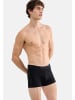 Sloggi Retro Short / Pant SLG Base in Schwarz
