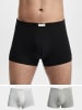 CALVIN KLEIN UNDERWEAR Boxershorts in grey/black/snow heather