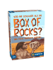HCM Kinzel Gesellschaftsspiel Box Of Rocks ab 3 Jahre in Mehrfarbig