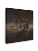 MuchoWow Leinwand bilder Hirsch (BxH)