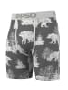 PSD underwear Boxershorts 'BEAR CHILL' in mehrfarbig
