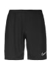 Nike Performance Trainingsshorts Academy 21 Dry in schwarz / weiß