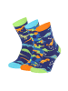 Yuhu Kinder Socken Dino Design 3er Pack Motivsocken in Dunkel-Blau