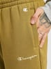 Champion Sweatpant in green moss