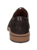 Sioux Schnürschuh Encanio-712 in dunkelbraun