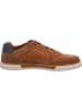 Camel Active Sneaker  in Braun
