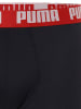 Puma Pants im 2er-Pack in marine grau