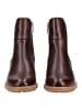 Pikolinos Stiefelette in Dunkelbraun