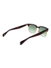 Ted Baker Herren Sonnenbrillen Browline Havanna