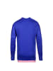 adidas Performance Torwarttrikot Entry 15 in blau / rosa