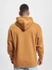 Puma Hoodie in brown