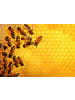 Ravensburger Puzzle 1.000 Teile Bienen Ab 14 Jahre in bunt