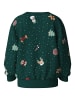 name it Nmnvohom Weihnachts-Sweatshirt in botanical garden