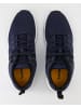 Timberland Sneaker low in Blau