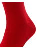 Falke Socken Cool 24/7 in Scarlet