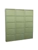 ebuy24 Schuhschrank Pisa 9 Grün 150 x 16 cm