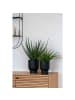 ebuy24 Kunstbaum Aloe Vera Grün 31 x 31 cm