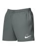 Nike Badeshorts 5" Volley Shorts in Grau