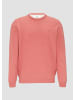 s.Oliver Strickpullover in 42W0_hellrot